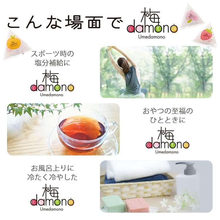 梅干し 父の日 フルーツ梅 梅damono 30粒入 個包装 セット ギフト 紀州南高梅 中田食品 うめぼし うめだもの 和歌山県産｜nakatafoods｜04