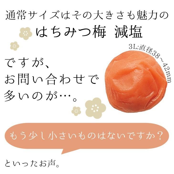 梅干し はちみつ梅 減塩 Sサイズ 300g 中田食品 紀州南高梅 塩分3％ 和歌山県産 うめぼし 小さめ 数量限定 送料無料｜nakatafoods｜04