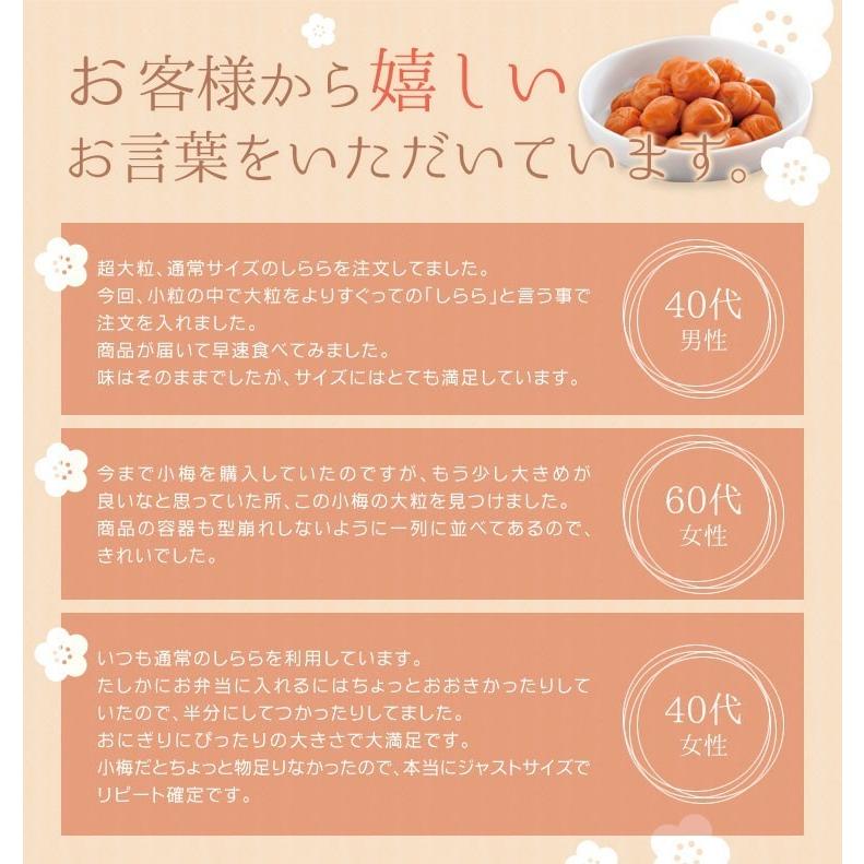 完売しました】梅干し 数量限定 中田食品 紀州産小梅 しらら小梅