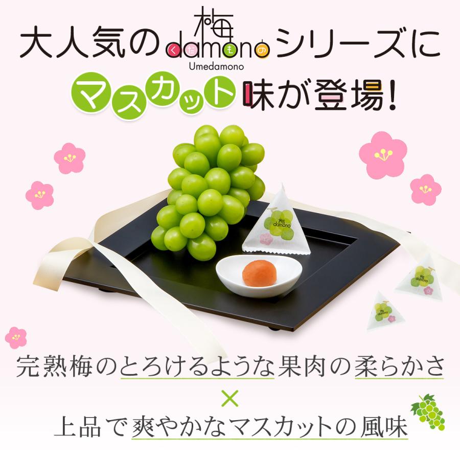 中田食品 【完売しました】梅干し フルーツ梅 プレゼント ギフト 個