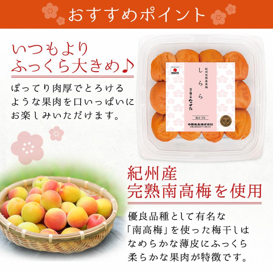 中田食品 【完売しました】梅干し 紀州南高梅 しらら 大きめ