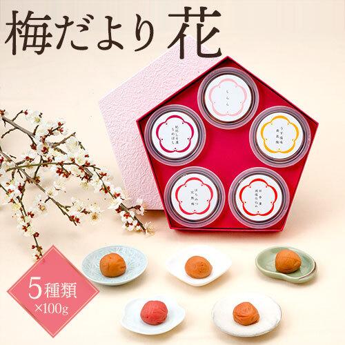 中田食品 梅干し ギフト 紀州南高梅 梅だより 花 100g×5 詰合せ