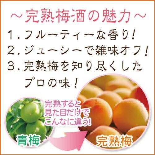 中田食品 梅酒 ギフト プレゼント 2026 おしゃれ お酒 紀州 和歌山