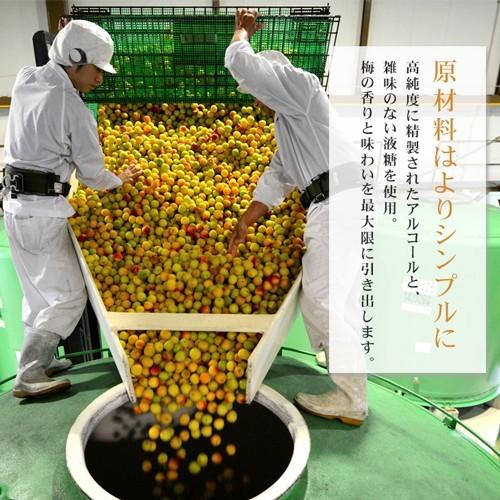 中田食品 梅酒 高級 紀州南高 完熟梅酒 樽2本セット 720ml×2 お祝い お
