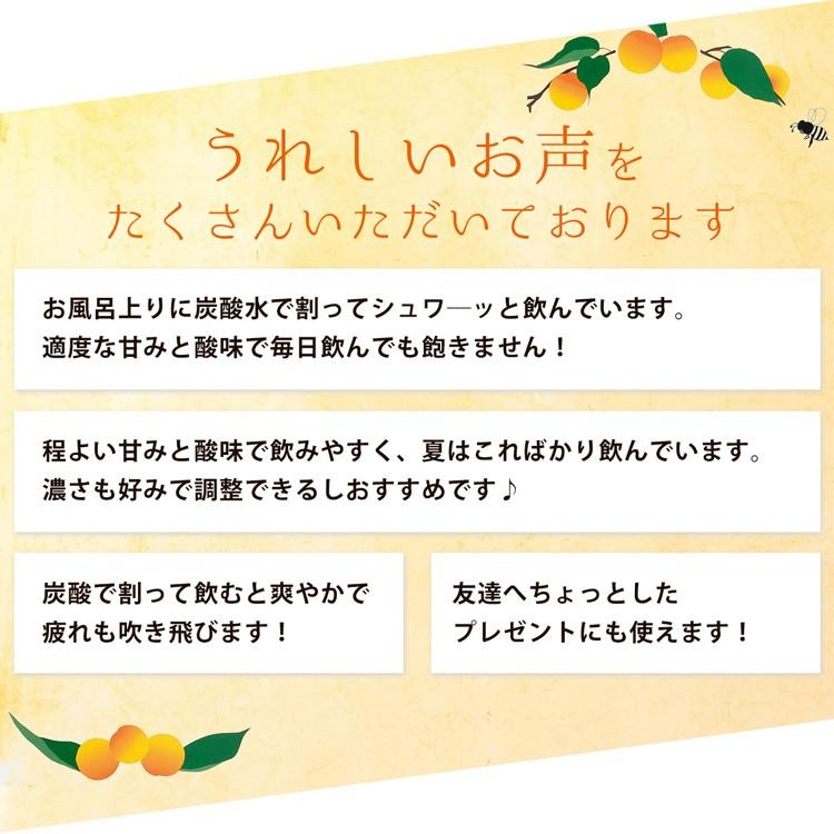 梅ジュース 父の日 2024 完熟梅シロップ ジューシィ 720ml 中田食品 人気 ギフト プレゼント 南高梅 おしゃれ｜nakatafoods｜03