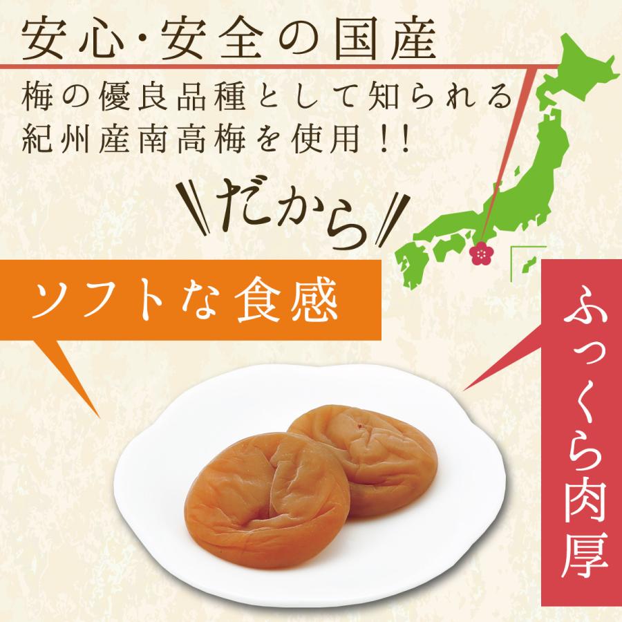 干し梅 個包装 国産 種ぬきほし梅 120g 中田食品 紀州南高梅 おやつ梅 お菓子 種なし 熱中症対策 塩分補給 和歌山県産｜nakatafoods｜02