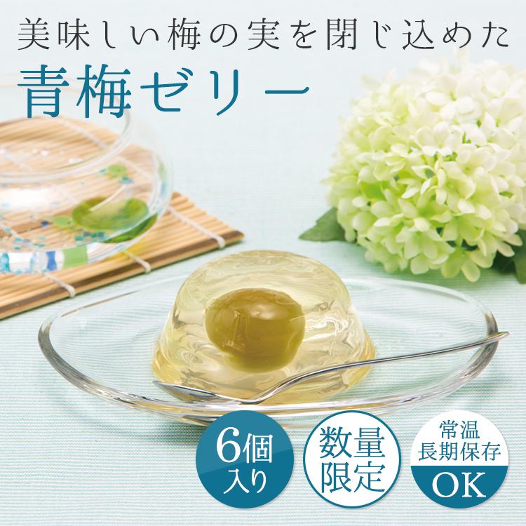 セール価格 御中元 22 青梅ゼリー 90g 6個 中田食品 お中元 お供え 法事 青梅 ゼリー 梅の実 ギフト 手土産