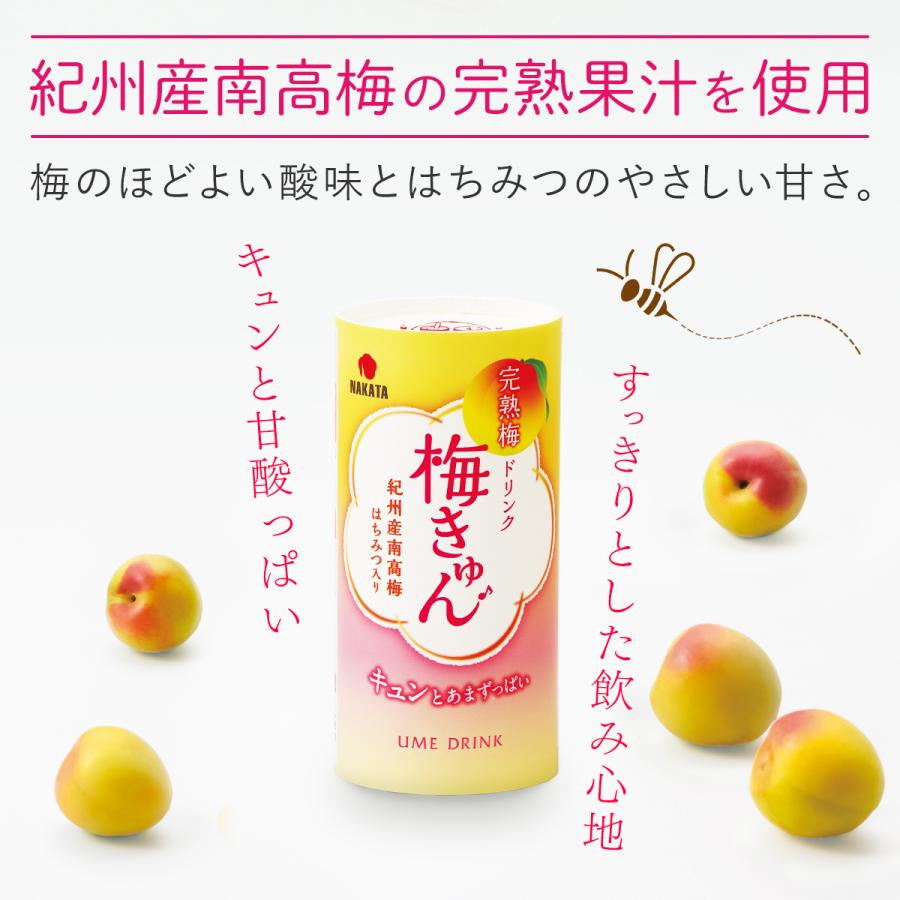 中田食品 梅ジュース 完熟梅ドリンク 梅きゅん ギフト 和歌山県産 紀州