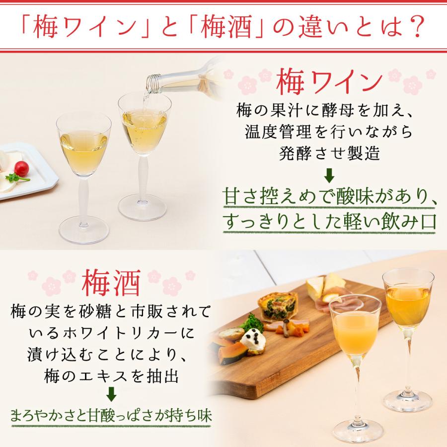 ワイン 父の日 2024 紀州の梅ワイン 720ml プレゼント 梅酒 お酒 おしゃれ 人気 ギフト 和歌山県産 中田食品 ラッピング｜nakatafoods｜04