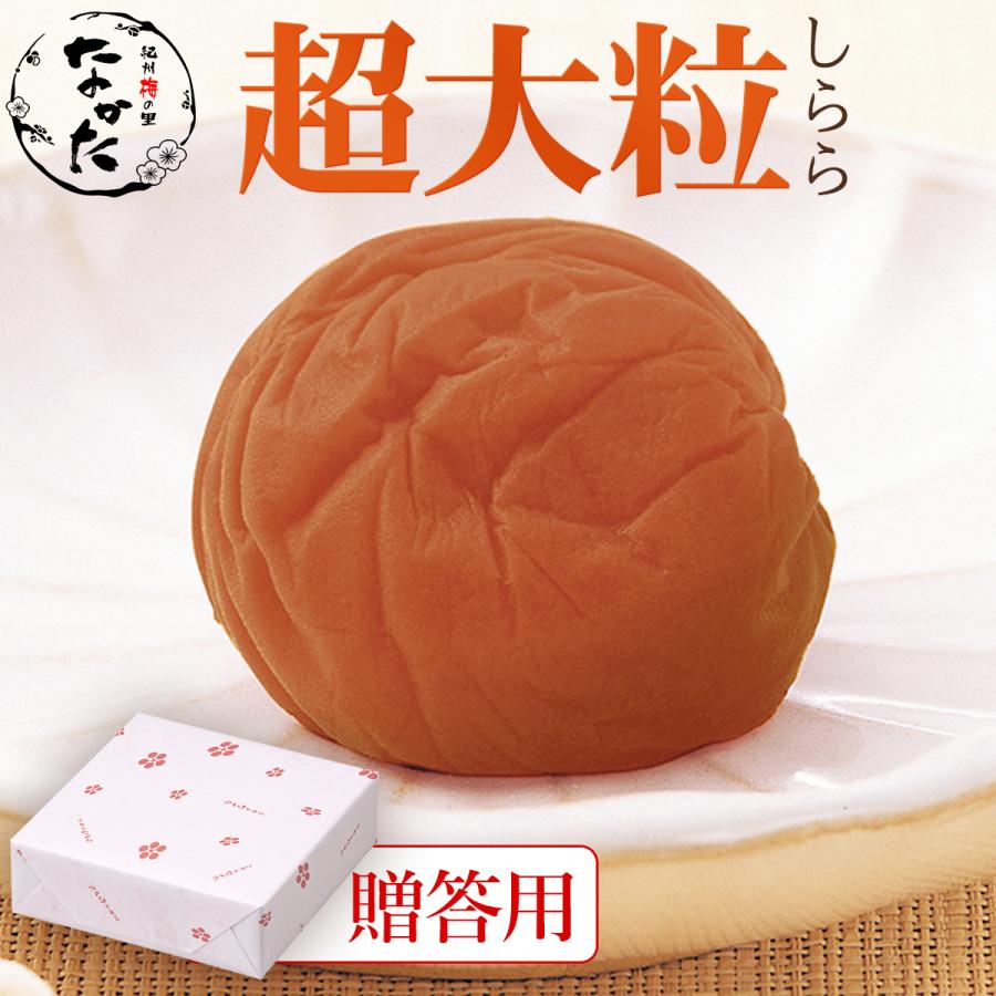 梅干し ギフト 贈答用 しらら超大粒 550g 中田食品 紀州南高梅 贈り物 お返し 化粧箱包装 熨斗 塩分5％ 数量限定（Yahoo!・紀州梅の里なかた Yahoo!店）