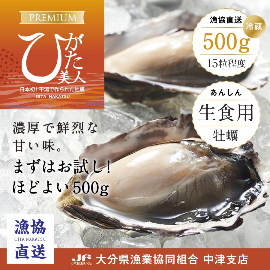 令和7年12月1日販売開始：数量限定】生牡蠣（カキ/かき）ブランド牡蠣