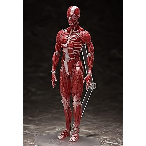 figma 人体模型 : ホビーショップ中辻商店 ヤフー店 - 通販