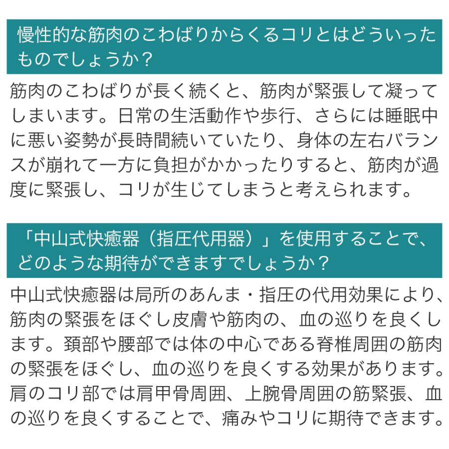 中山式 ＼TVで紹介されました／ 中山式快癒器 2球式 公式 指圧 ほぐし
