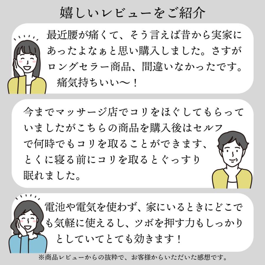 中山式 ＼TVで紹介されました／ 中山式快癒器 2球式 公式 指圧 ほぐし