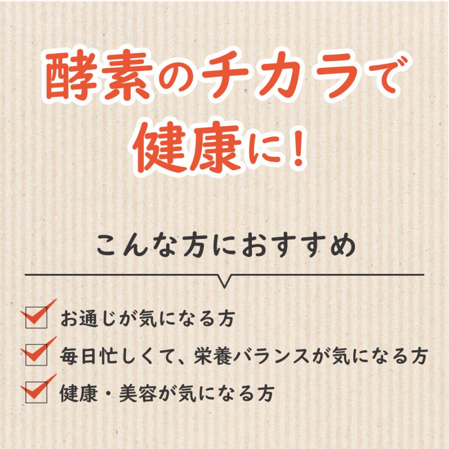 中山式 【お試し7日分】 酵素ペースト 73種の素材 日本製 酵素 発酵