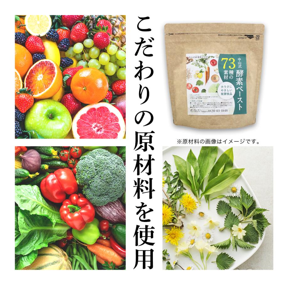 中山式 【お試し7日分】 酵素ペースト 73種の素材 日本製 酵素 発酵