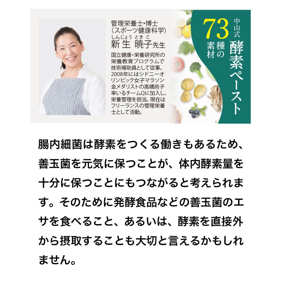 中山式 【お試し7日分】 酵素ペースト 73種の素材 日本製 酵素 発酵