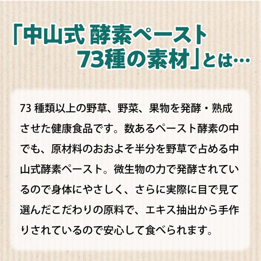 中山式 酵素サプリ 酵素ペースト 73種の素材 30日分 日本製 酵素 発酵
