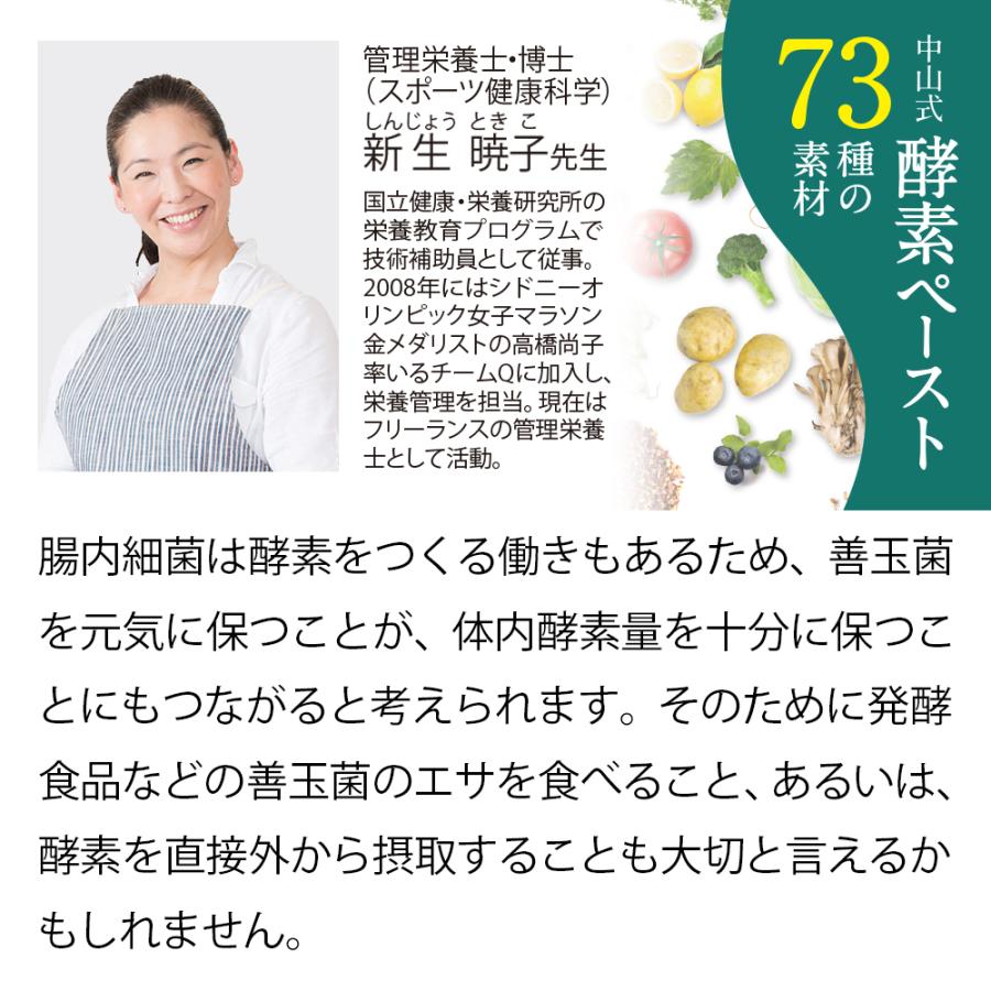 中山式 酵素サプリ 酵素ペースト 73種の素材 30日分 日本製 酵素 発酵