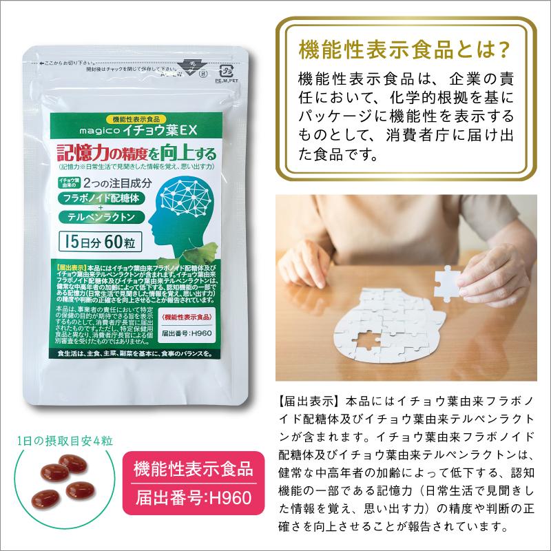 機能性表示食品 中山式 magico イチョウ葉EX 15日分 記憶 認知機能
