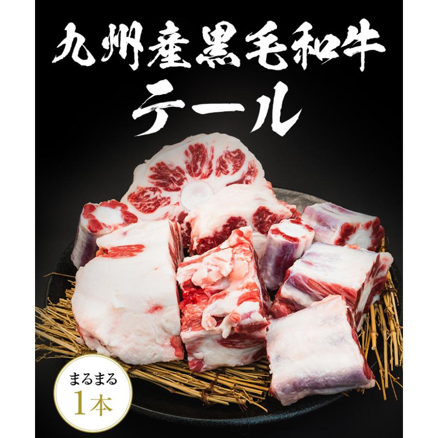 九州産黒毛和牛テール まるまる1本売り カット済み ホルモン コラーゲン テールスープ スープ 焼肉 クッパ｜nakayamaya｜02