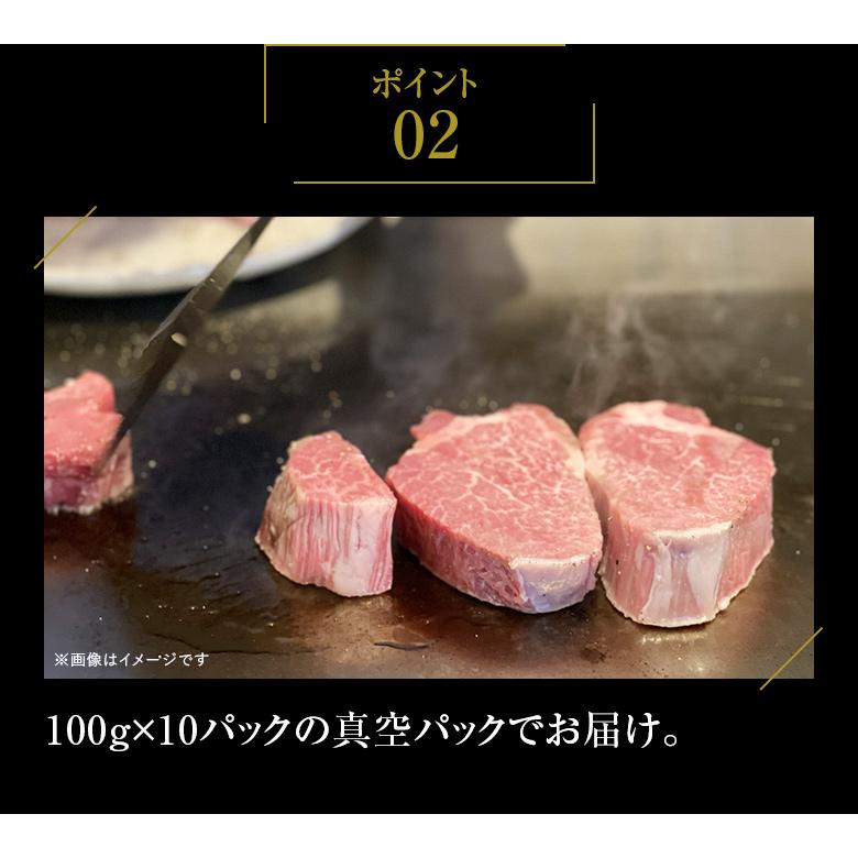 総合食肉卸中山家 九州産黒毛和牛ヒレ シャトーブリアン1kg（100g×10枚