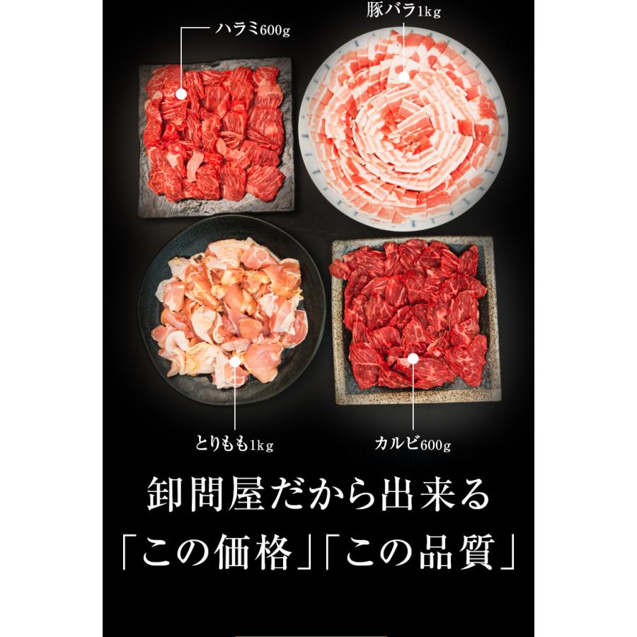 バーベキューセット 12-16人盛 BBQ 焼肉セット カルビ ハラミ 豚バラ とりもも 3.2kg 送料無料 食品 牛肉 メガ盛り 焼き肉 焼肉用 お肉 肉｜nakayamaya｜03