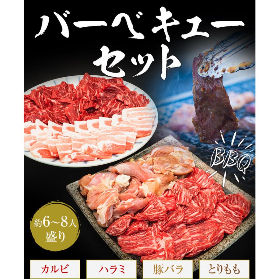 バーベキューセット 6-8人盛 BBQ 焼肉セット カルビ ハラミ 豚バラ とりもも 1.6kg 送料無料 食品 牛肉 メガ盛り 焼き肉 焼肉用 お肉 肉｜nakayamaya｜02