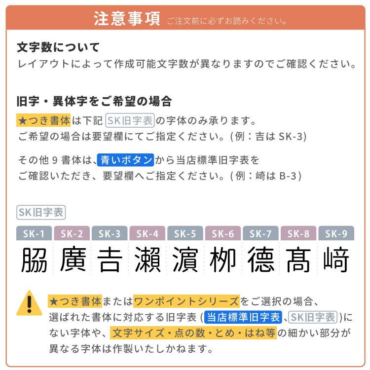 シャチハタ ネーム9 別注品 当店限定新色発売 印鑑 オーダー はんこ シヤチハタ 認印｜nakayoshi1ban｜14