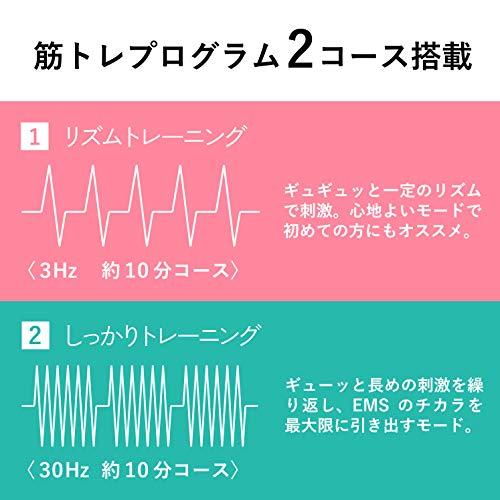 アテックス ルルド EMS シェイプアップリボン プレザントダリア AX-KXL5200pd ※アウトレット(商品情報欄ご確認下さい）｜nakayoshinet｜06