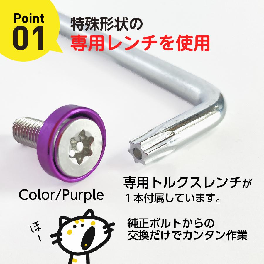 ナンバープレート ボルト 盗難防止 ネジ ナンバーボルト ナンバープレート ボルト 盗難防止 ネジ ナンバーボルト