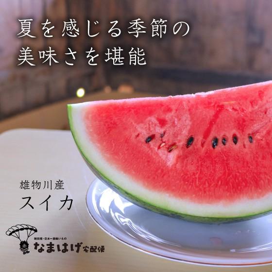 秋田県雄物川町産スイカ　あきた夏丸(約5kg/2玉) | 