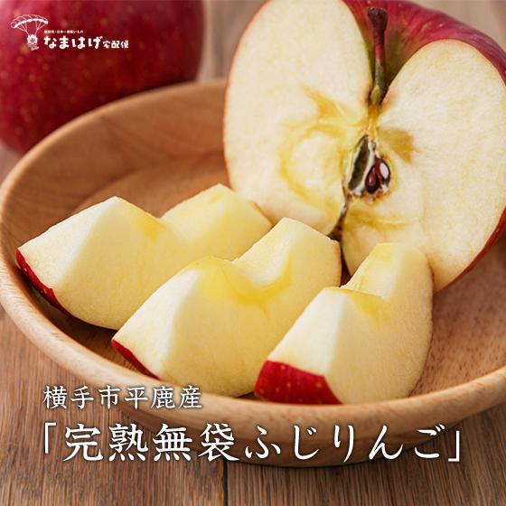 横手市平鹿産完熟無袋ふじりんご（約3kg） | 