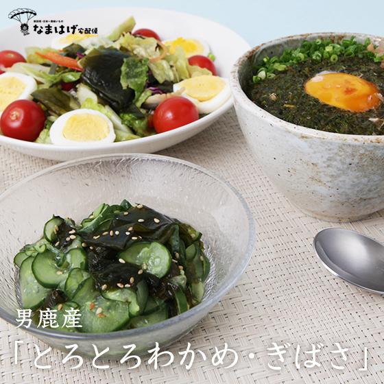 男鹿産とろとろわかめ・ぎばさ | 