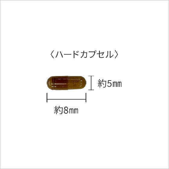 海の高麗人参 ナマコサプリメント ナマコ粉末100%使用 (40粒入) 1袋｜namakosapurimento｜02