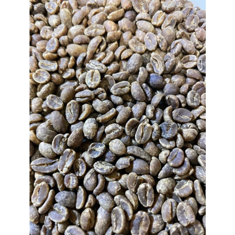 エチオピア 新色 シダモ ダテ農園無農薬 カフェインレス デカフェ 生豆300g お買い得