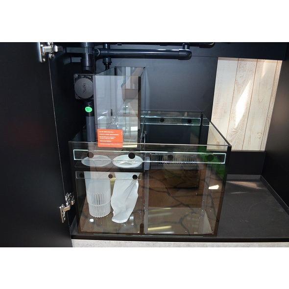 Reefer 250 ホワイト オーバーフロー水槽 Red Sea 90cm w250 生麦海水魚ヤフー店 通販 Yahoo ショッピング
