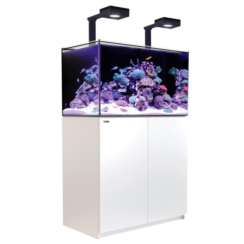 Reefer250 ホワイト Dxモデル Red 熱帯魚 アクアリウム用品 生麦海水魚ヤフー店のreefer250 ホワイト