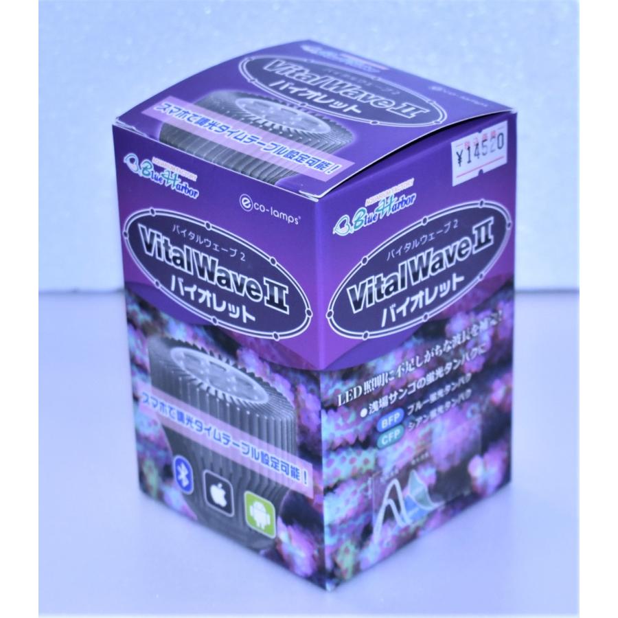 バイタルウェーブ VitalWave II バイオレット 【公式通販】