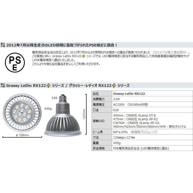安い 激安 プチプラ 高品質 スポットライト グラッシーレディオ Rx122 Reef Fech Cl