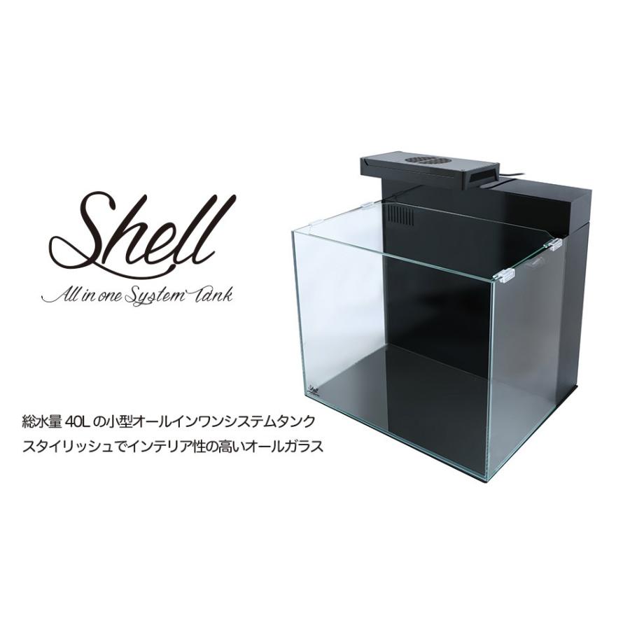 内祝い】 オールインワン システムタンク SHELL2 シェル2 MMC fol.mywinterhaven.com 内祝い】 オールインワン システムタンク SHELL2 シェル2 MMC fol.mywinterhaven.com