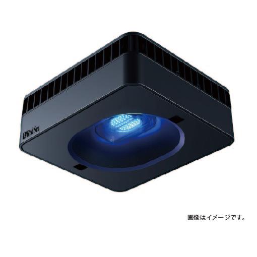 REEF LED G2 60 本体 Red Sea 新型LED : 生麦海水魚ヤフー店 - 通販