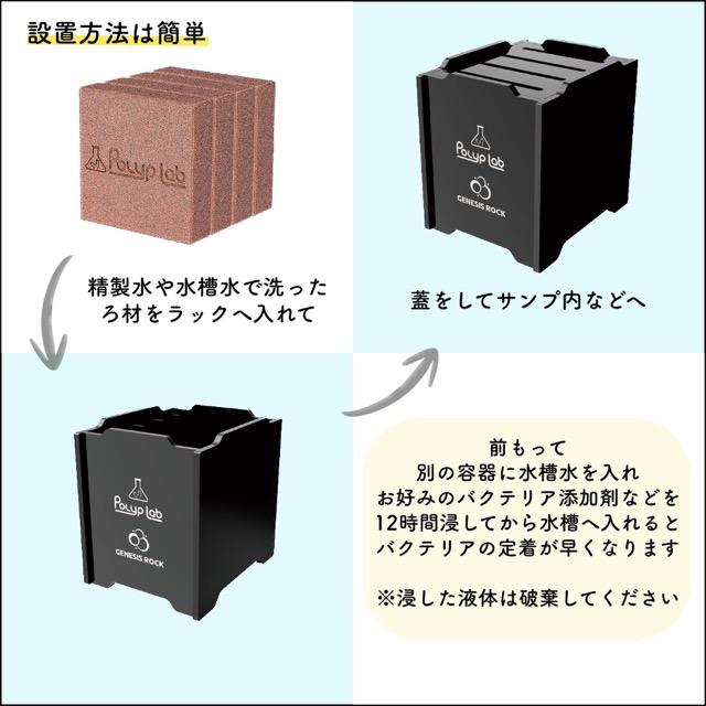 ZOOX × Polyplab Genesis Rock Power Rack full ジェネシスロック