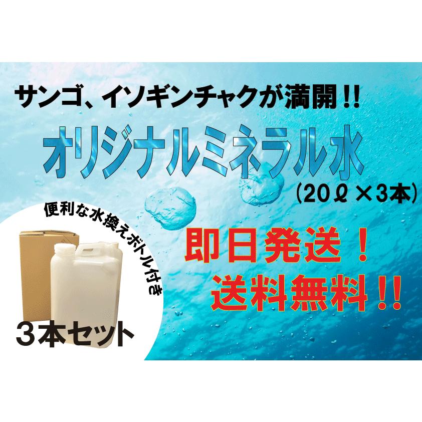 無料長期保証 オリジナルミネラル水 リットル 3本セット 全国宅配無料 Www Muslimaidusa Org