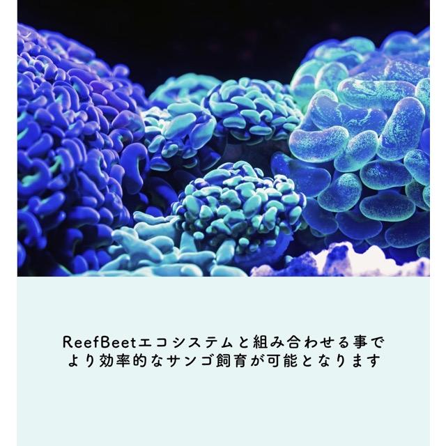 レッドシー 【Red Sea】ReefRun デュアルコントローラー｜リーフラン