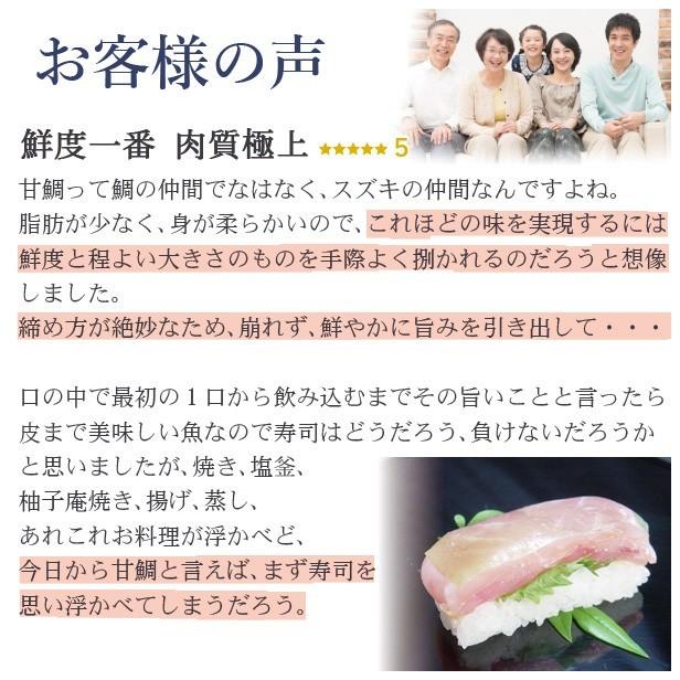 コンビニ受取対応商品 父の日 プレゼント 冷蔵 極上 甘鯛昆布締め寿司を福井から 通常サイズ 届いたその日が旬の味わい 生鯖寿司の萩 数量は多 Cih Dev Humbird Com