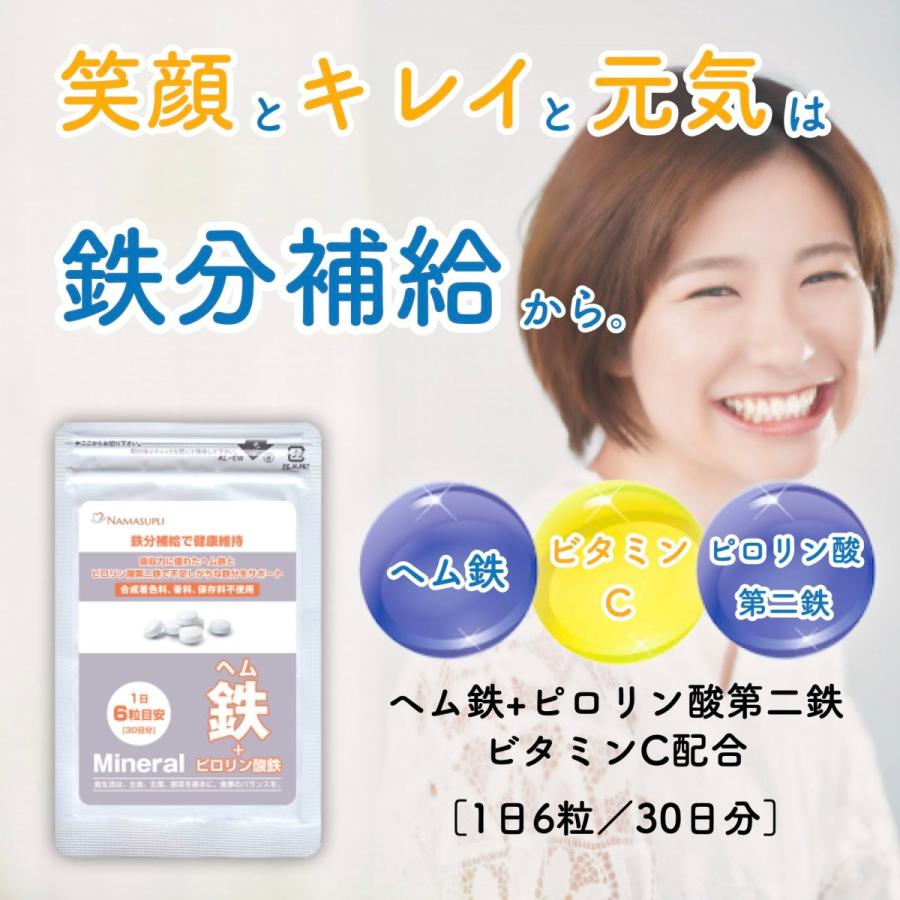 鉄分 サプリ ヘム鉄 ピロリン酸鉄 ビタミンC サプリメント 30日分