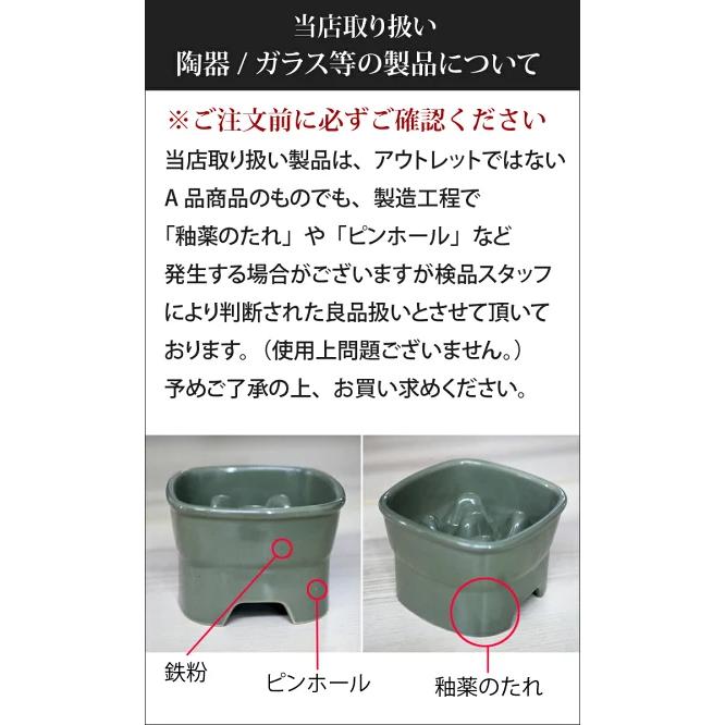 早食い防止 フードボウル 犬 猫 陶器 おしゃれ 日本製 食器 ペット 名入れ 送料無料 手描き 似顔絵 ゆるかわ 早食い防止 高台フードボウル 【中】｜name-yudachigama｜19