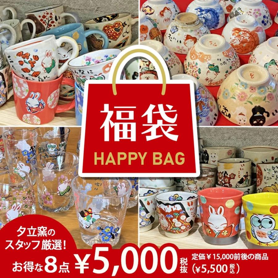 送料無料 特価】先着限定品 日用食器ペアセット福袋 （和）YF017 : 名