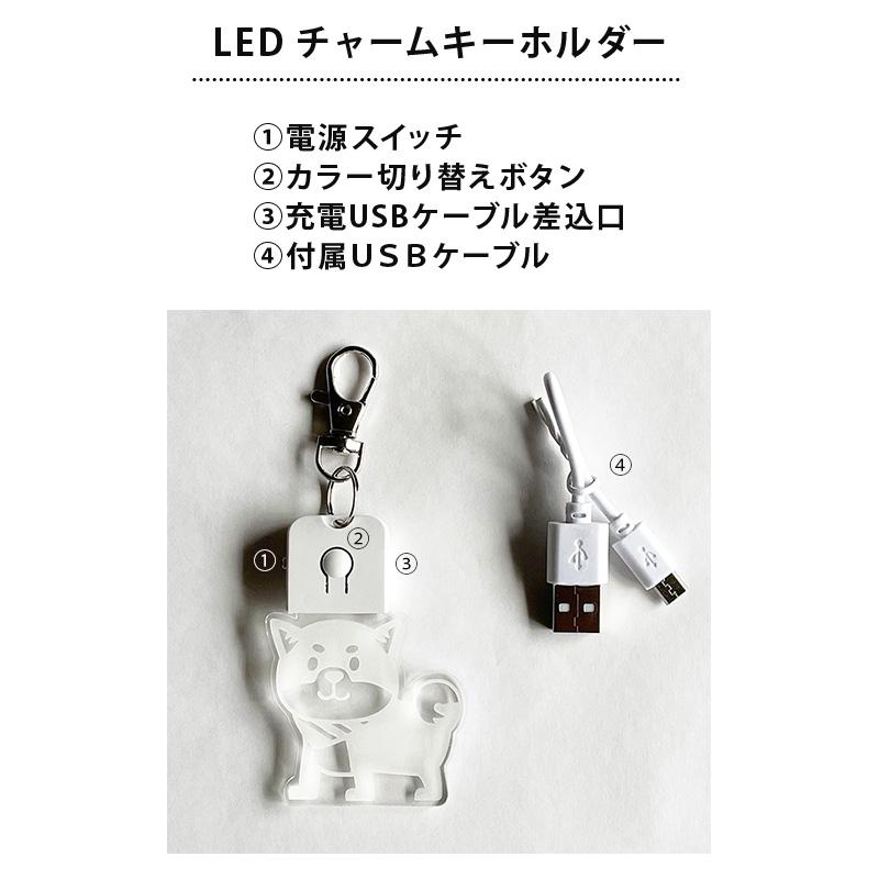 LEDチャームキーホルダー ペット おさんぽ 首輪 迷子 アクリル